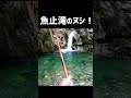 魚止め滝でヌシを釣る！ #shorts