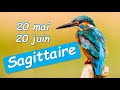  sagittaire   20 mai au 20 juin