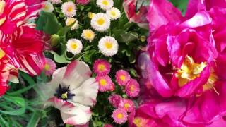 My Floriade Slow Music 0119