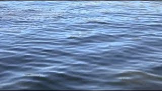 BIBLICAL CALENDAR:  5 MONTHS IS 150 DAYS IN GENESIS FLOOD ACCOUNT!!(PROPHETIC YEAR)