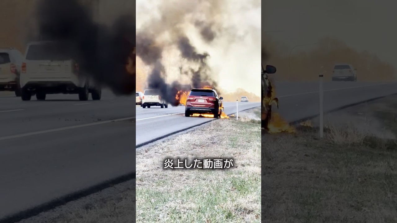 The Surprising Outcome of the Fire - YouTube