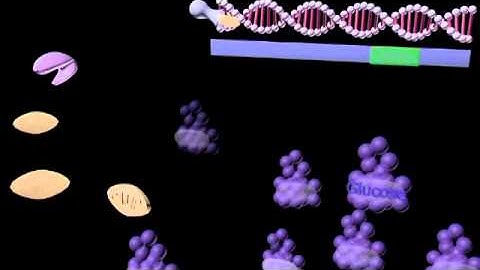 Cellulose Synthesis Device