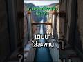 สะพานจะไม่ตรงก็ไม่เป็นไร แค่เติมน้ำให้พอดี! #สะพานเ #วิศวกรอัจฉริยะ  #สาระฮาๆ #เกร็ดความรู้