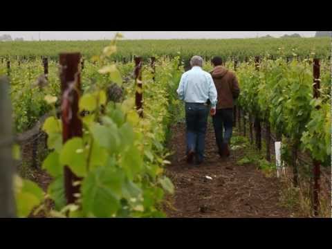 Flora's 100 - Webisode 7 - Going Organic and Family Succession Plans - click image for video