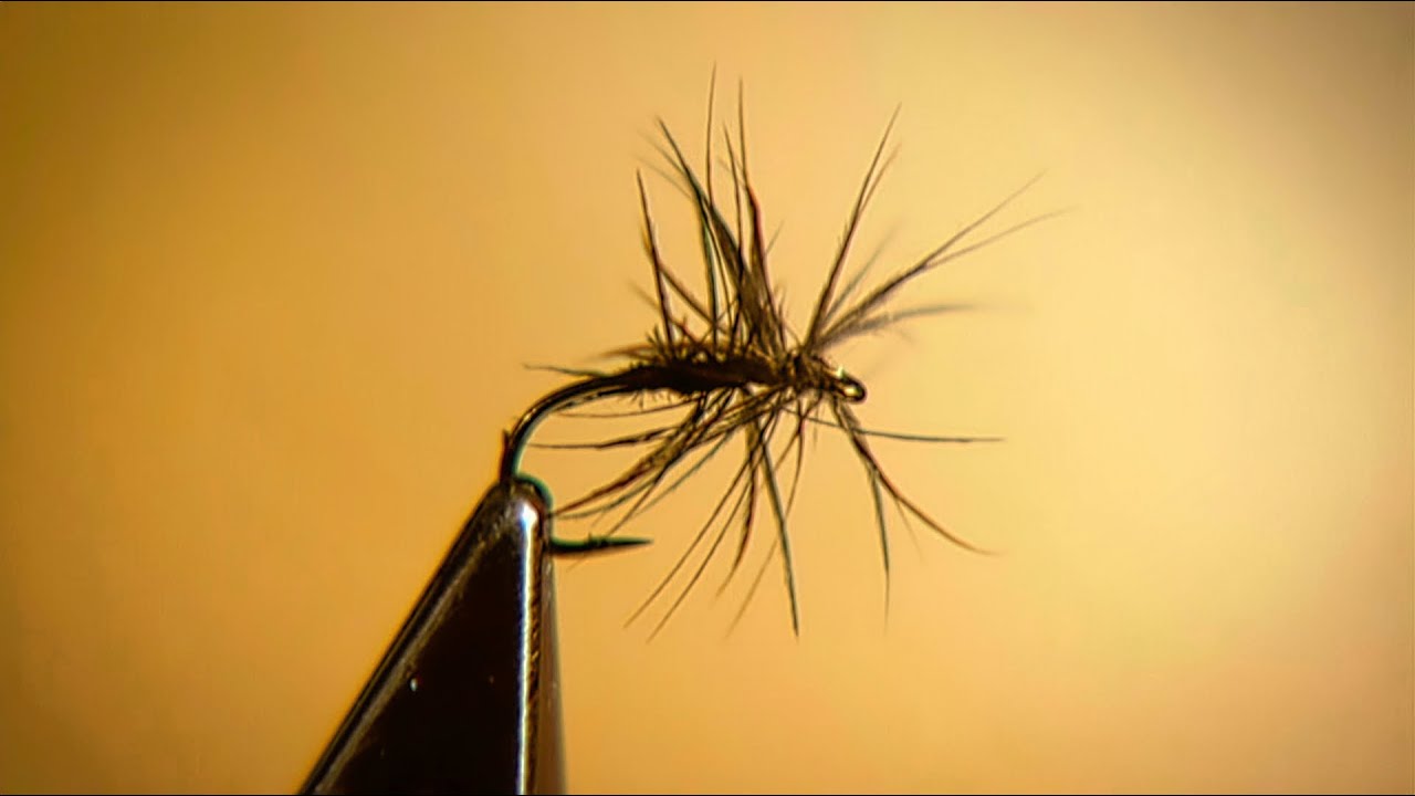 Oliver Edwards Ties the Stewarts Black Spider Wet Fly - YouTube