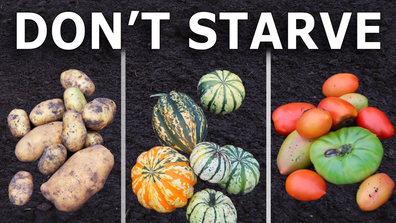 5 Top Crops To Grow To Save You From STARVING - YouTube