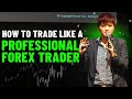 How Professional Forex Traders Make Money (Global Macro Trading Crash Course)