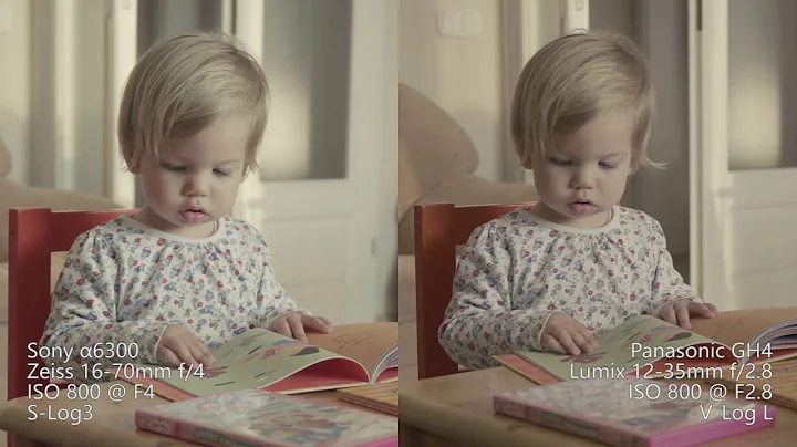 Sony a6300 vs Panasonic GH4, S-Log3 vs V-Log L, ISO 800, Daylight, Ungraded and Graded, 4K