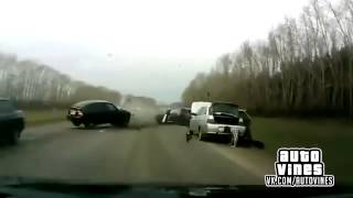 Auto Vines №3
