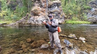 Рыбалка бомба#Хариус монстр.Часть вторая.Fishing Bomb # Grayling Monster. Part Two..