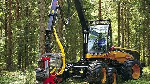 Bill Burr - The Tree Terminator