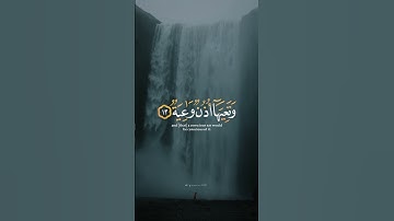 اكتب شي تؤجر عليه ♡✨️ | القارئ شريف مصطفى | قرآن كريم