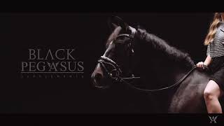 Black Pegasus Supplements:  Reduxtreme y Liposenze