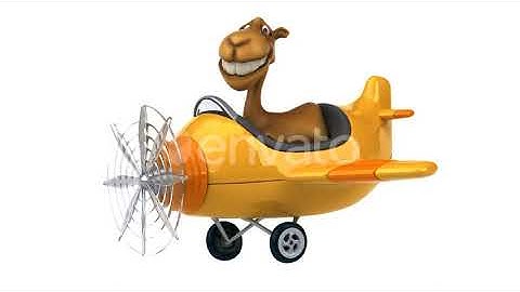 Camel in a plane | Motion Graphics - Envato elements
