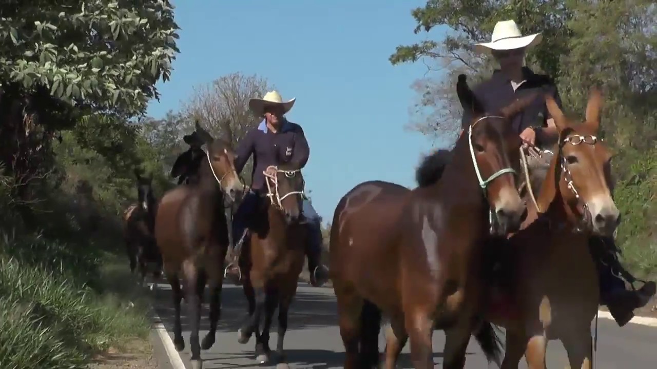 GRUPO DE ROMEIROS SAI A CAVALO PARA SEGUIR ATÉ APARECIDA