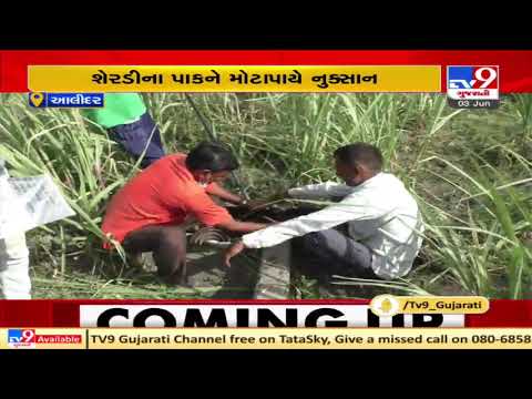 Cyclone Tauktae: Farmers of Alidar village face trouble due to disrupted power supply, Gir-Somnath