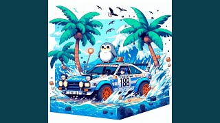 Beach Rally