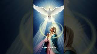 oración ala virgencita 🙏🏼#amen #rosario #motivation