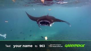 Plastic Chokes Whales, Dolphins, Turtles