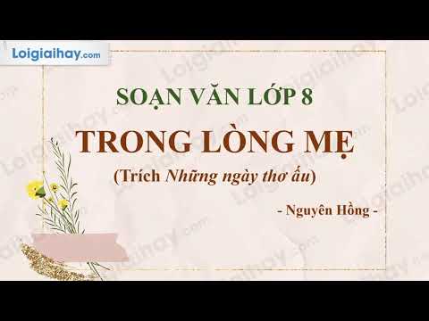 Soạn bài Trong lòng mẹ (trích Những ngày thơ ấu) trang 15 SGK Ngữ Văn 8 tập 1