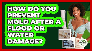 How Do You Prevent Mold After A Flood Or Water Damage? - Eco Home Blueprint