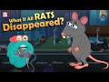 The Role of Rats in Our Ecosystem