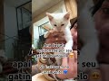 #lovecats #anacastela #gateiraporamor
