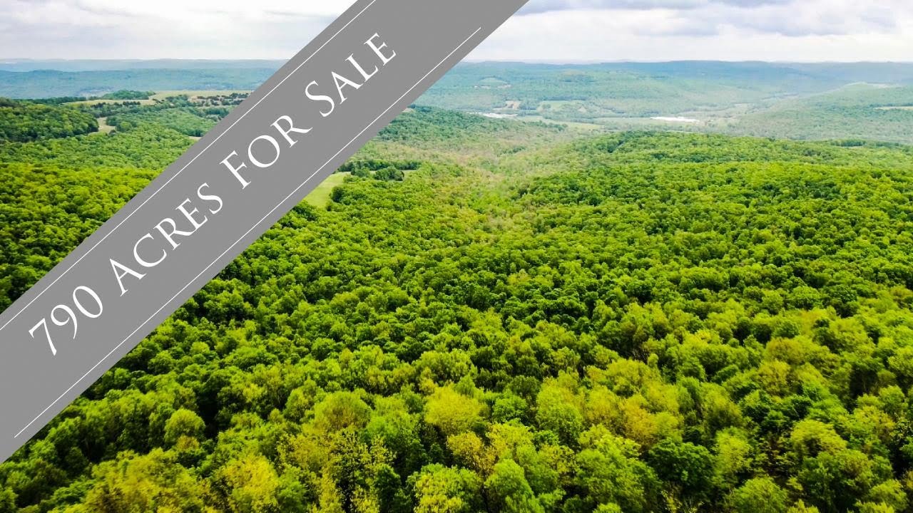790 beautiful acres for sale in Elkins Arkansas YouTube