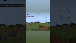 How To Take Screenshots In Minecraft PE