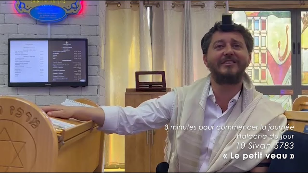 3MN DE TORAH POUR COMMENCER LA JOURNÉE - LE PETIT VEAU