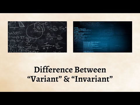 Difference Between Variant and Invariant | Variants vs Invariants Explained with Humor and Insight!