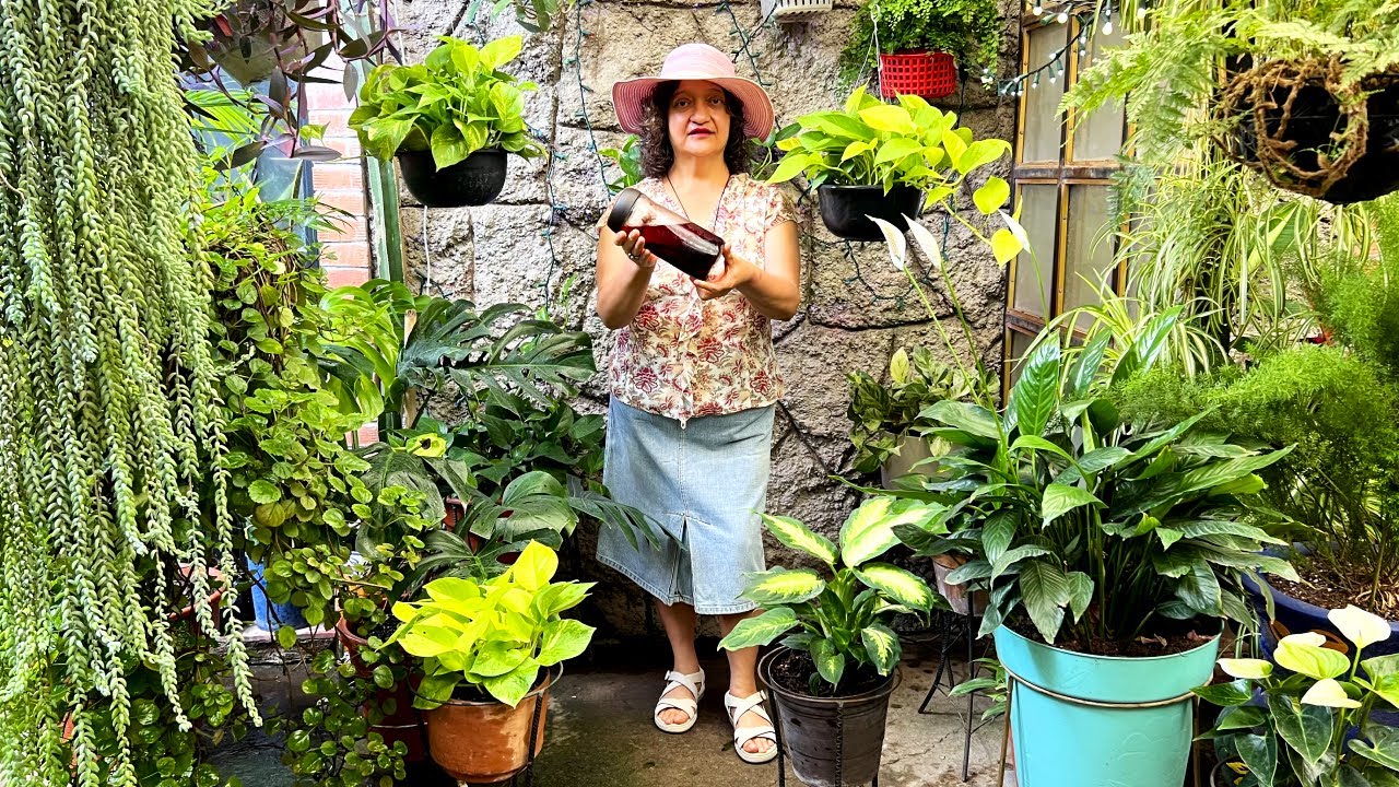 Todas las Plantas DEBEN Beber esta AGUA