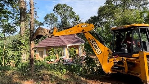 Jcb 3dx felling giant big tree | #jcb #jcb3dx #jcbvideo #jcbmachine #jcbcartoon  #jcbbackhoe