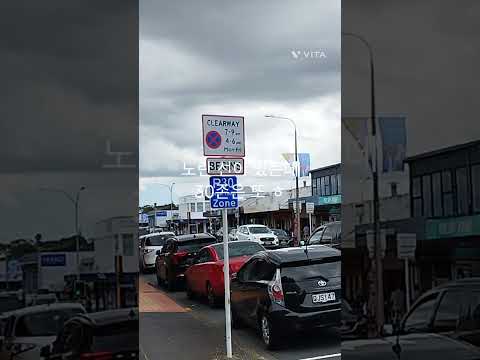 밀포드에는 이런 존이 ㅎ