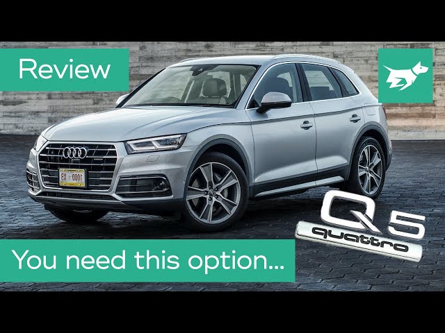 Audi Q5 SUV 2020 in-depth review