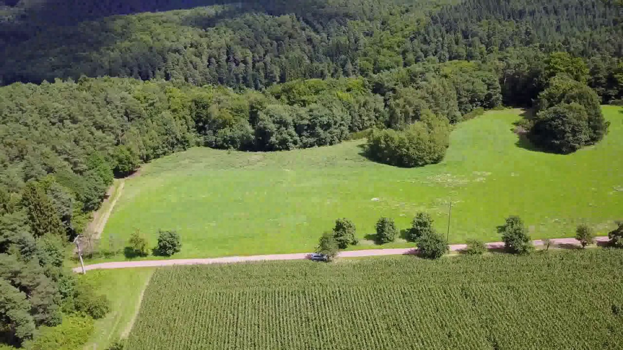 Kopie von Trassem Mais 06.08.2017