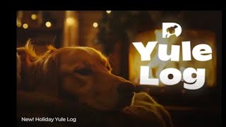 DOG TV Cozy Holiday Yule Log with Relaxing Dogs by the Fireplace | 6 Hours of Calm