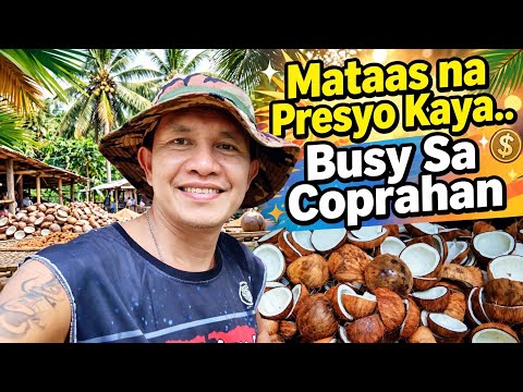 COPRA PANGKABUHAYAN || BUKIDLIFE || JFCTV