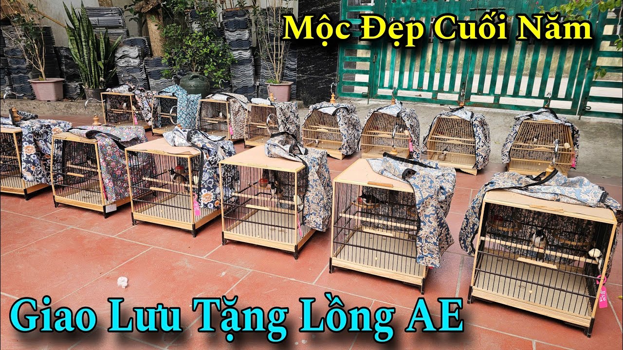 Thanh Lý Nghỉ GAME | Giao Lưu Tặng Lồng Ép Mộc Nan Cáp Cho Các Bác Cùng Đam Mê