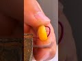 बाथरूम की बदबू खत्म करने का आसान जुगाड़😲 #shortvideo #farming