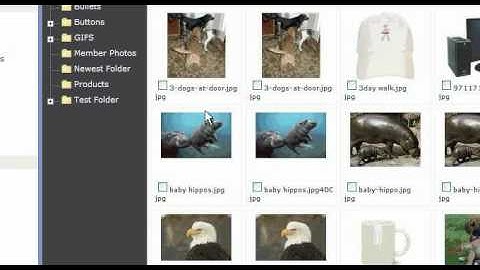 Image Store Move Files - Websiteforge Ecommerce Website