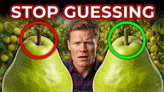 How to Pick the Sweetest Pear – Most People Get This Wrong!