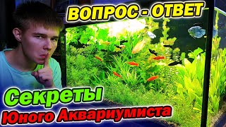 видео: Секреты Юного Аквариумиста! Вопрос - Ответ картинка: Секреты Юного Аквариумиста! Вопрос - Ответ