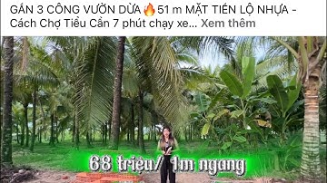 Gần 3 công vườn dừa - Có 51m mặt tiền lộ nhựa 3,5m - 68tr/1m ngang