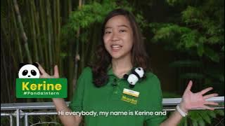 🐼 #PandaScoop - Ep 1 | Introduction
