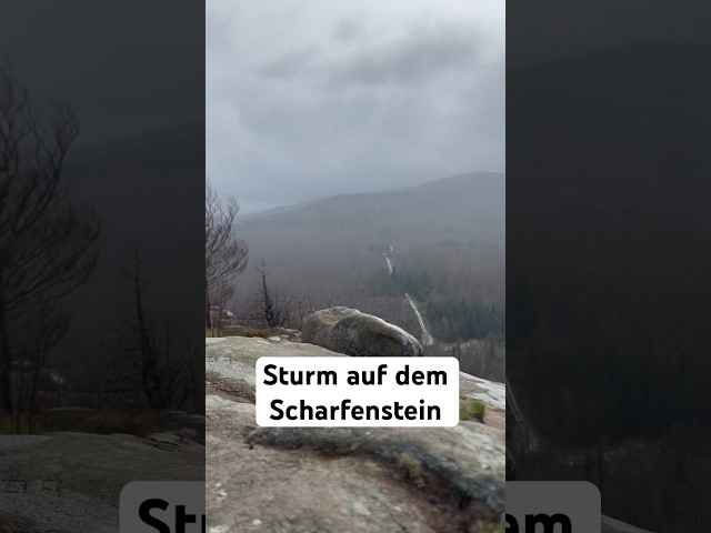 Sturm auf dem Scharfenstein im Harz #shorts #harz