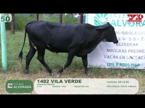 LOTE 50  - B1482