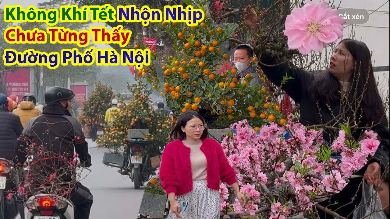 Tết Hà Nội 2025 - Không Khí Tết Tràn Ngập Quất Đào Mai Đường Phố Hà Nội