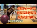ダークサイドカースで1ゲーム投げたら神ボールだった！