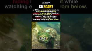 Real Life Mythical Forest Spirit